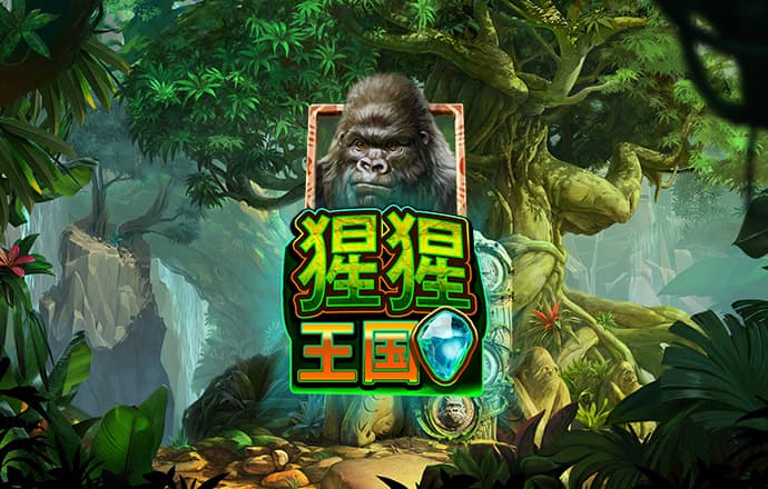 乐竟体育官网入口
